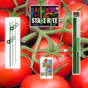 Stakerite Garden Stake Kit
